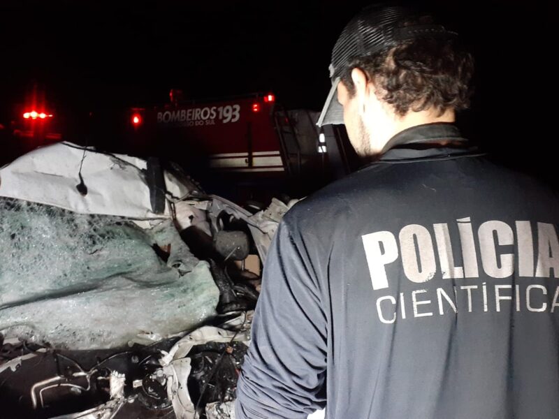 Anta atravessa BR-267, provoca colisão frontal e deixa 2 mortos em Rio Brilhante