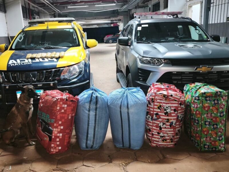 Polícia apreendeu 4 quilos de pasta base de cocaína e 116 quilos de folhas de coca