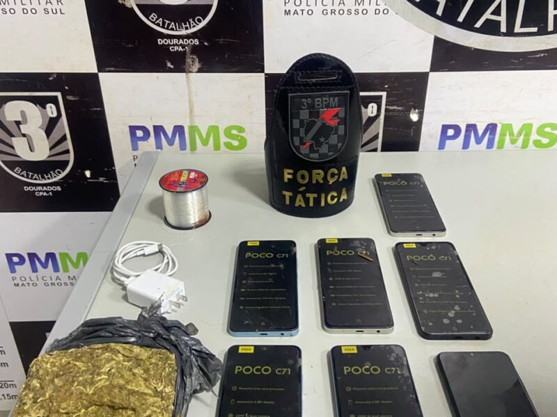 Ação conjunta prende indivíduo que tentava enviar celulares e drogas para a PED