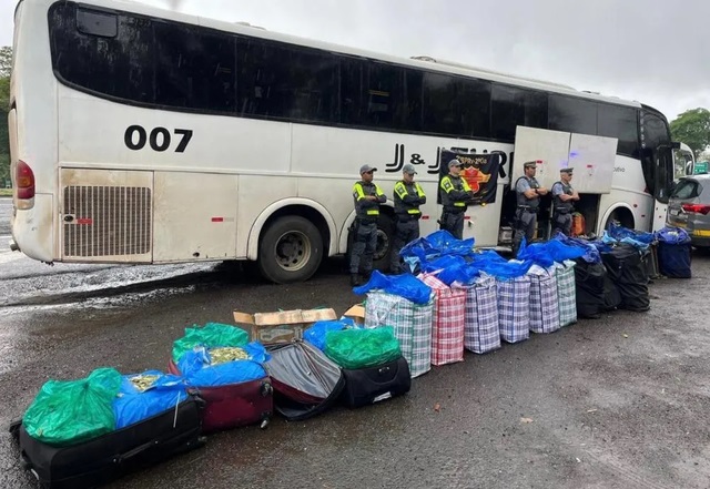 Bolivianos são flagrados transportando 746,8 quilos de folhas de coca em SP