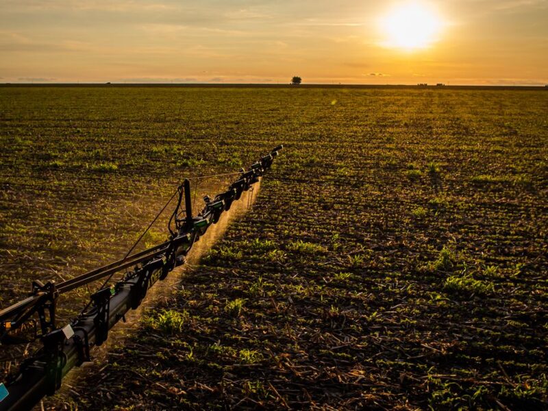 Novas regras do Seguro Rural ampliam cobertura e proteção ao produtor