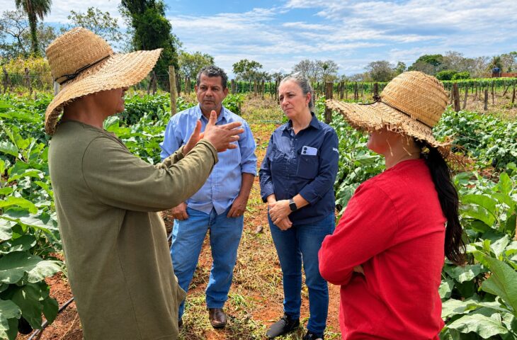 Agraer orienta agricultoresri a produzir mais e vender direto ao consumidor