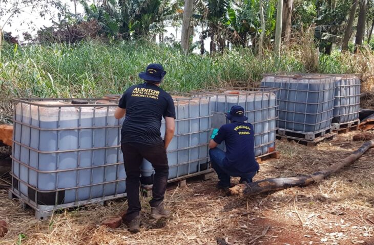 MS cria grupo de trabalho para avaliar destinação de agrotóxicos irregulares