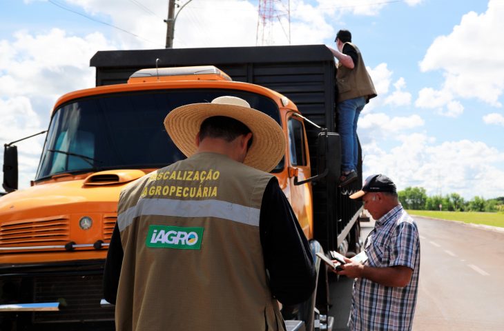Seminário vai discutir combate ao uso de agrotóxicos ilegais e transporte irregular de insumos