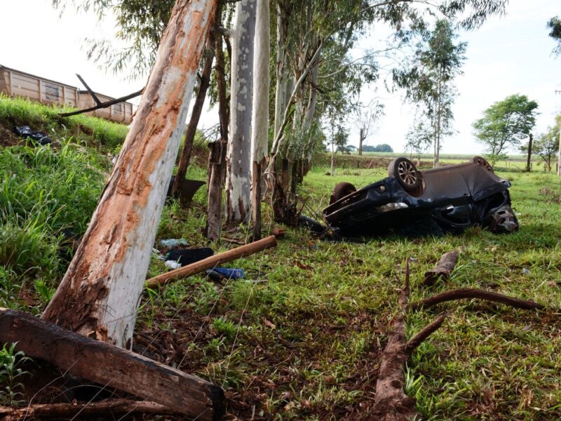 Identificado motorista de Corolla que capotou e bateu em eucalipto na BR-376