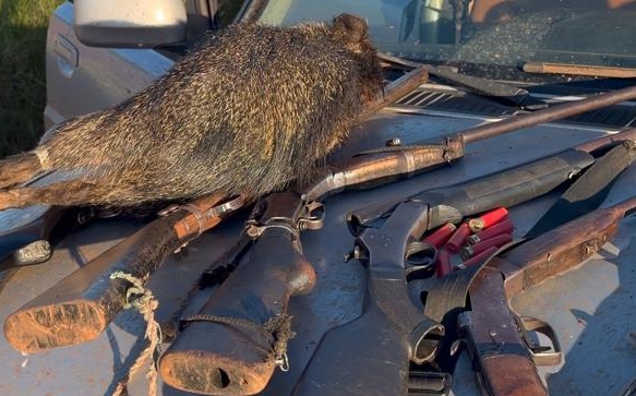 Ambiental prende 6 homens por caça e porte ilegal de arma em Sete Quedas
