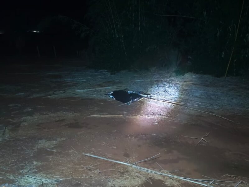 Adolescente indígena atropelada em março entre Dourados e Ponta Porã é identificada